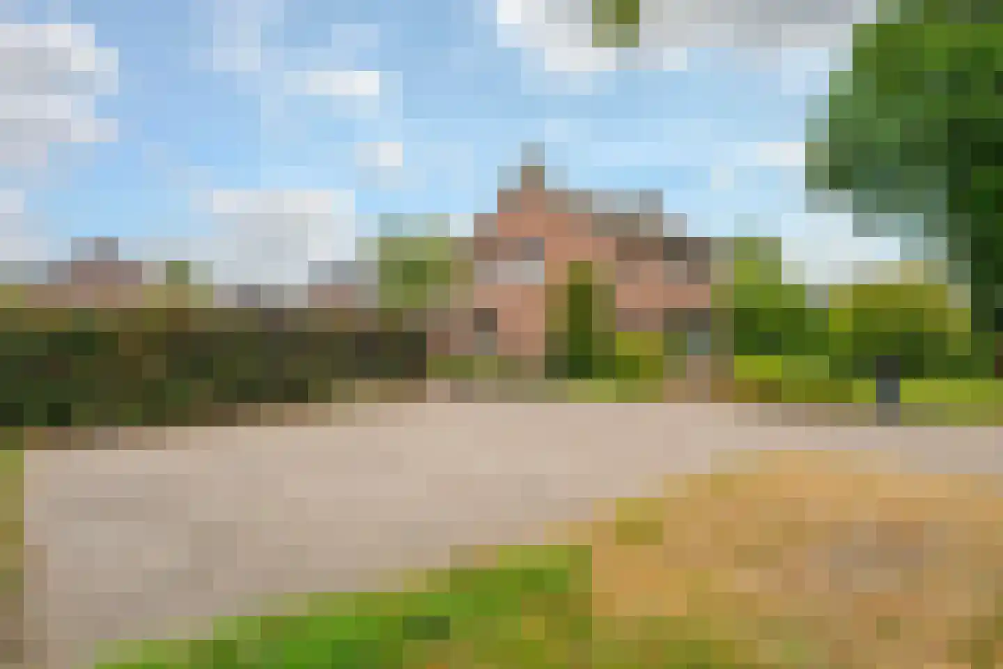 Brugpas 4 Veulen thumbnail 59