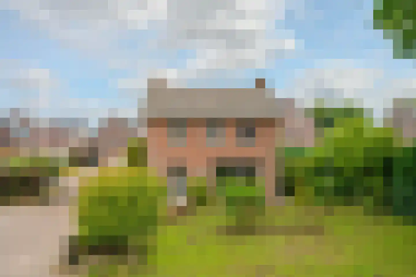 Brugpas 4 Veulen thumbnail 6