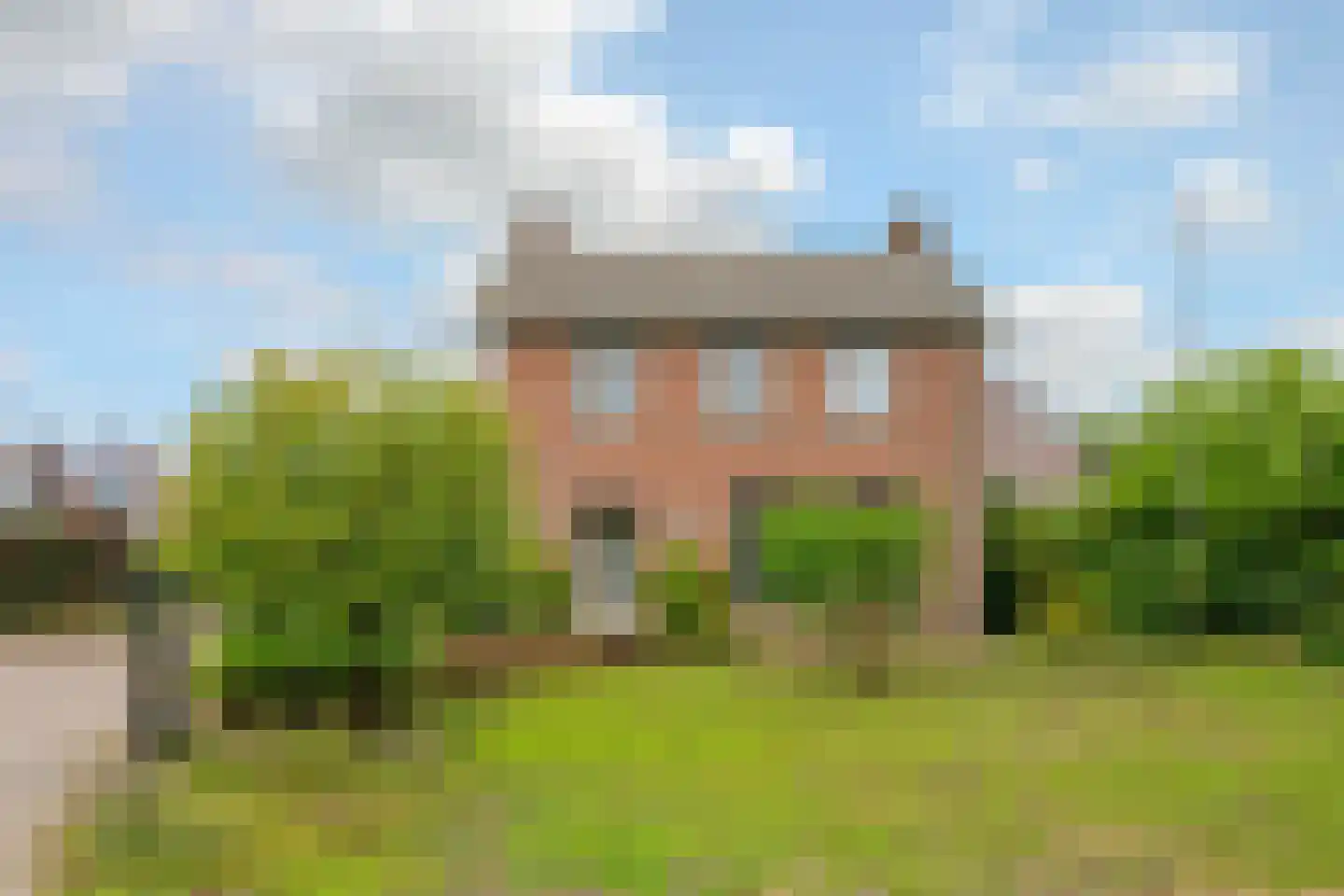 Brugpas 4 Veulen thumbnail 60