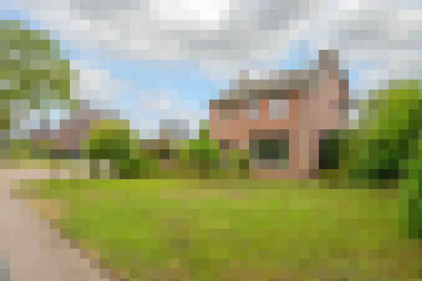Brugpas 4 Veulen thumbnail 61