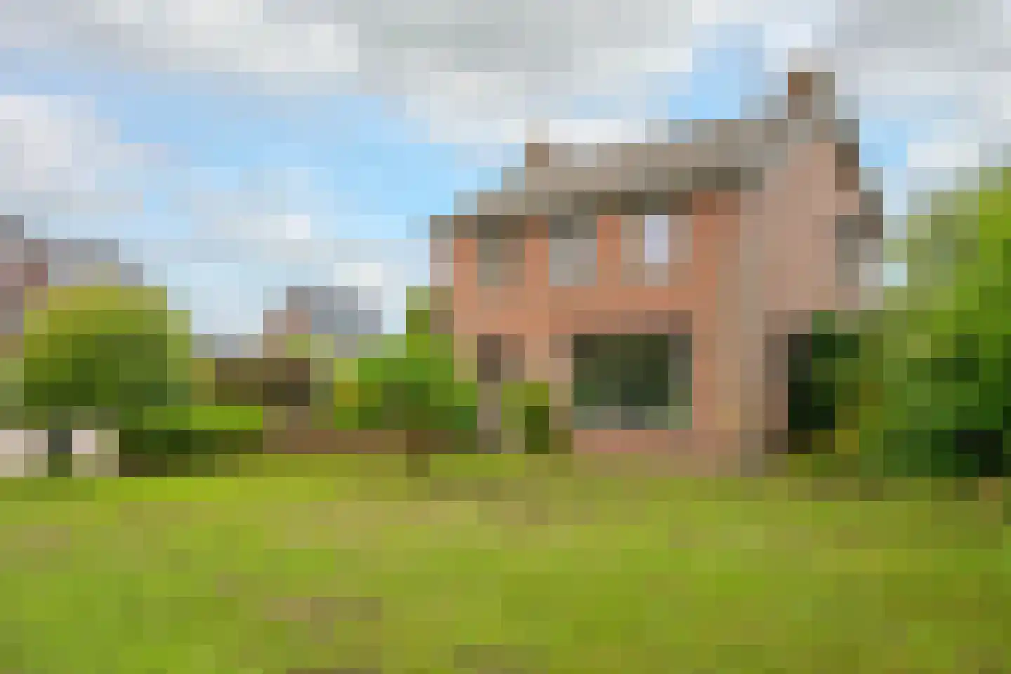 Brugpas 4 Veulen thumbnail 62