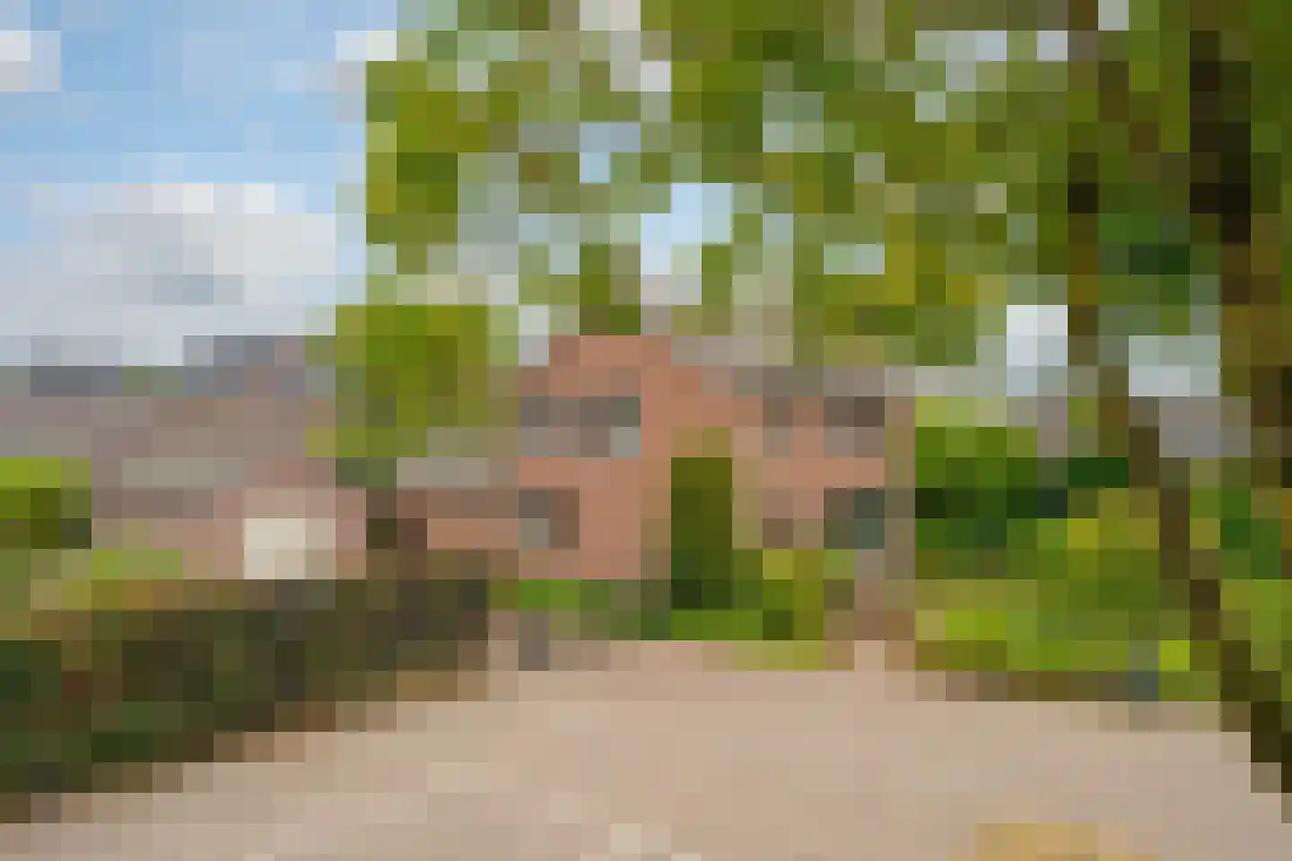 Brugpas 4 Veulen thumbnail 64