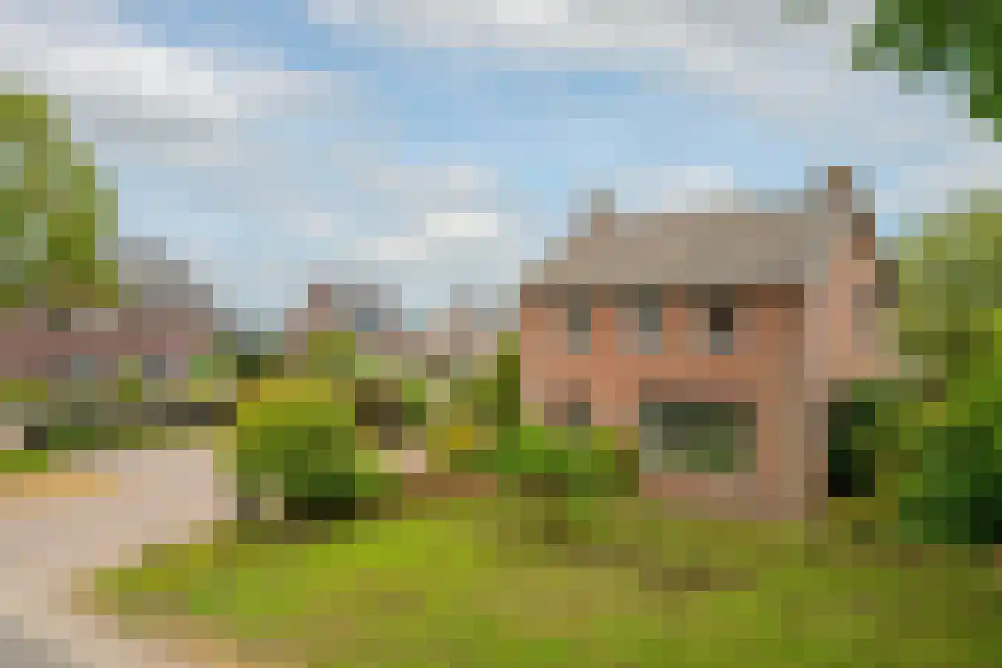 Brugpas 4 Veulen thumbnail 65