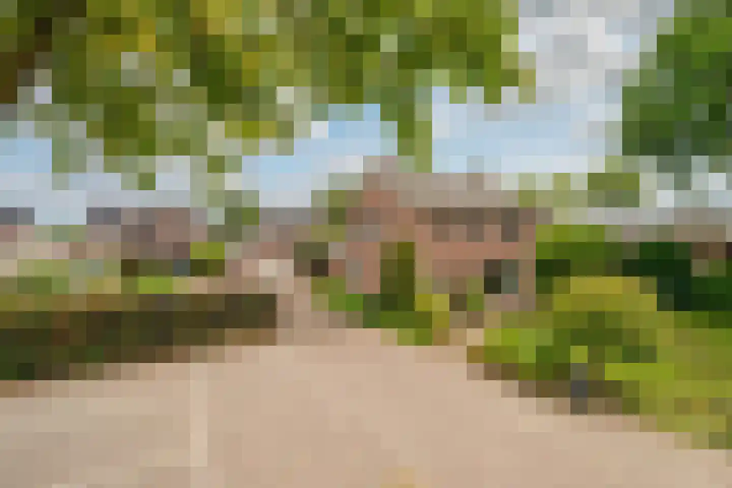 Brugpas 4 Veulen thumbnail 66