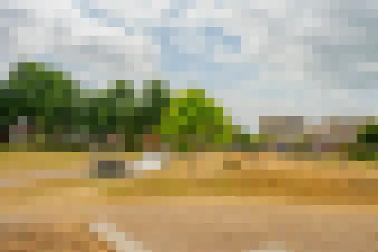 Brugpas 4 Veulen thumbnail 67