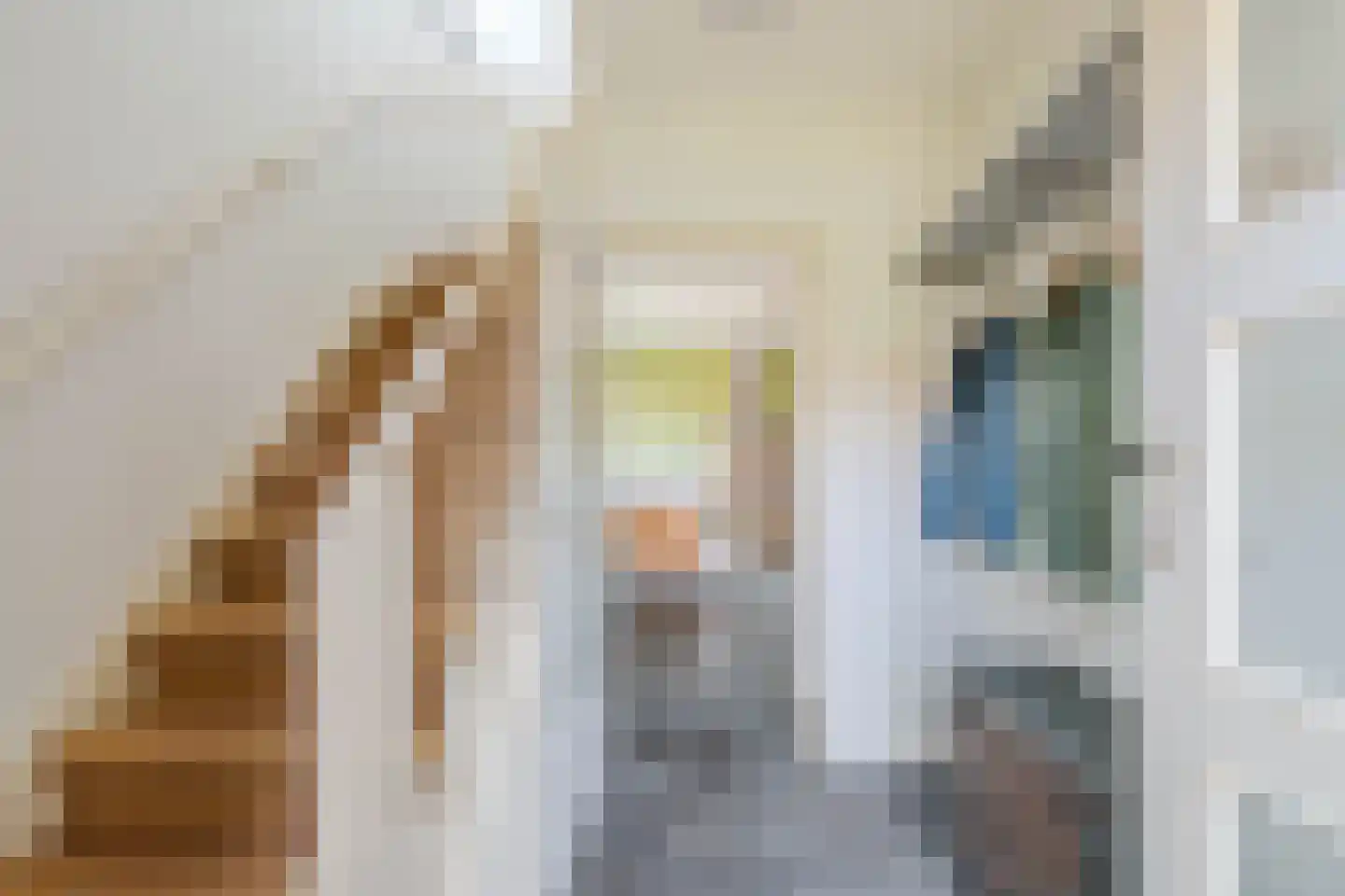 Brugpas 4 Veulen thumbnail 7