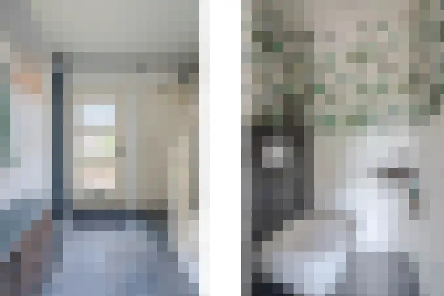 Brugpas 4 Veulen thumbnail 8