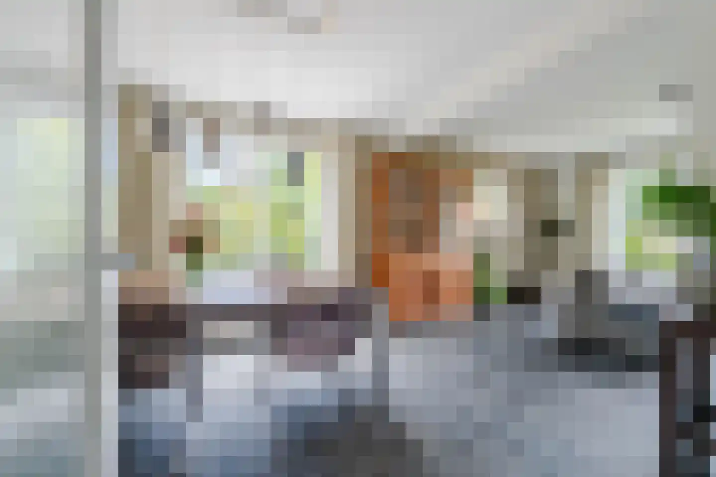 Brugpas 4 Veulen thumbnail 9