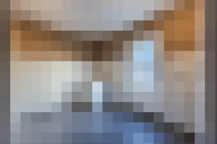Brugse Berg 64 Mill thumbnail 16