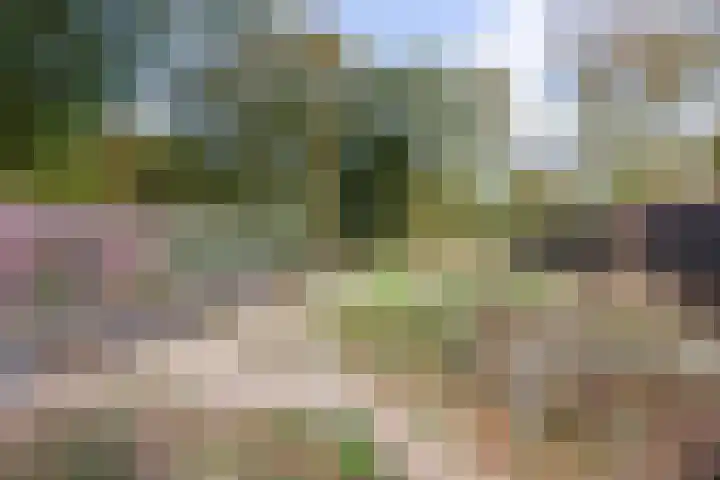 Brugse Berg 64 Mill thumbnail 34
