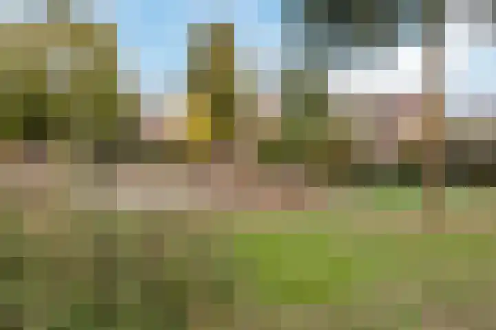 Brugse Berg 64 Mill thumbnail 35
