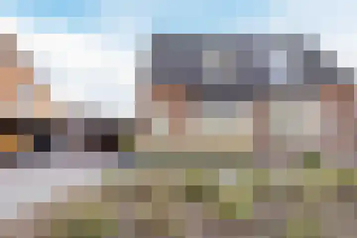 Brugse Berg 64 Mill thumbnail 5