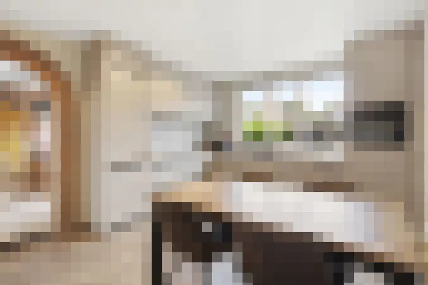 Brugse Berg 74 Mill thumbnail 10