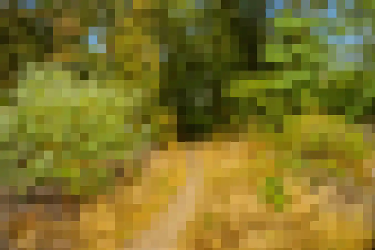 Brugse Berg 74 Mill thumbnail 37