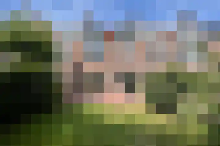 Brugsestraat 7 in Den Haag