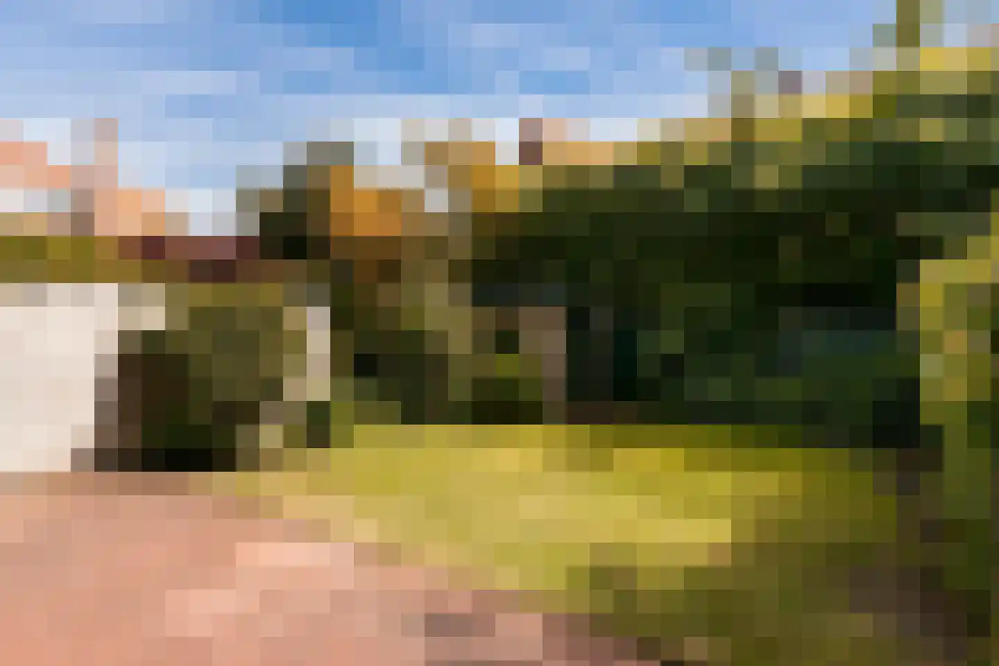 Brugsestraat 7 Den Haag thumbnail 12