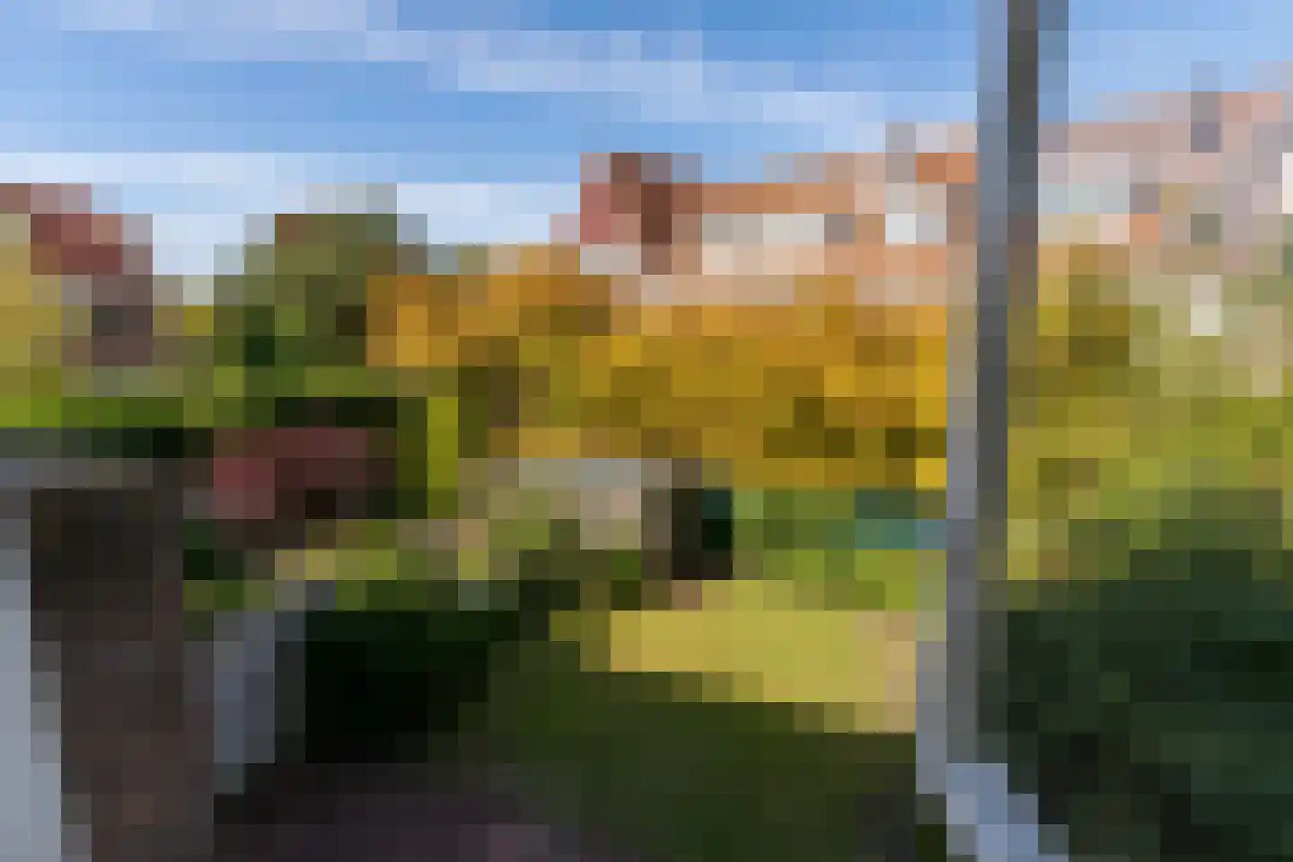 Brugsestraat 7 Den Haag thumbnail 53