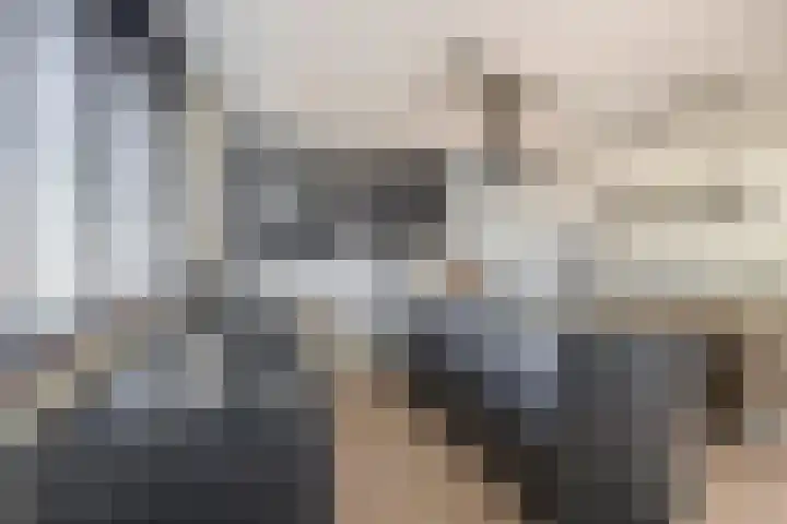 Brugske 3 Kaatsheuvel thumbnail 15