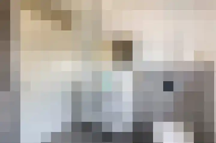 Brugske 3 Kaatsheuvel thumbnail 19
