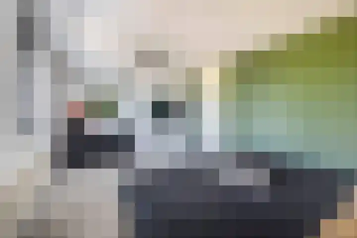 Brugske 3 Kaatsheuvel thumbnail 21