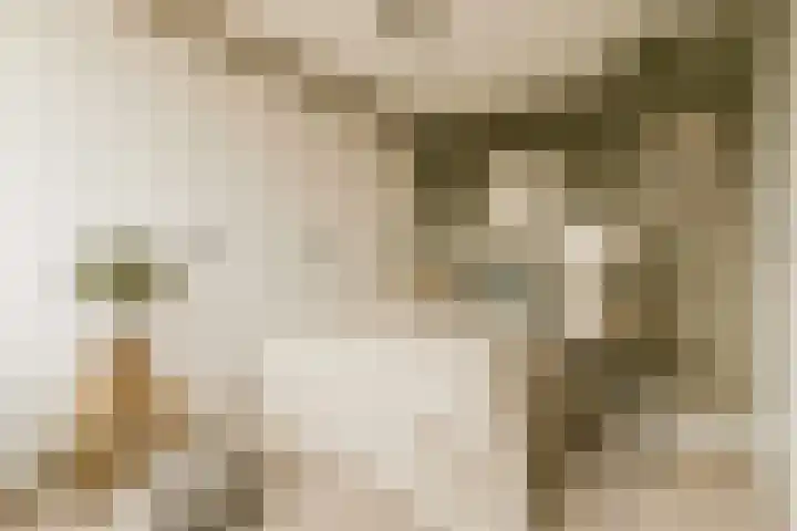 Brugske 3 Kaatsheuvel thumbnail 24