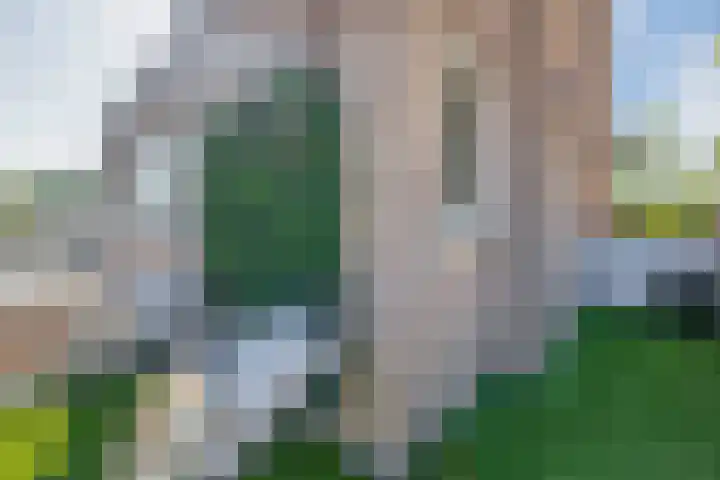 Brugske 3 Kaatsheuvel thumbnail 26