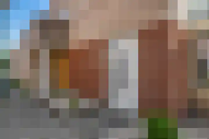 Brugske 3 Kaatsheuvel thumbnail 5