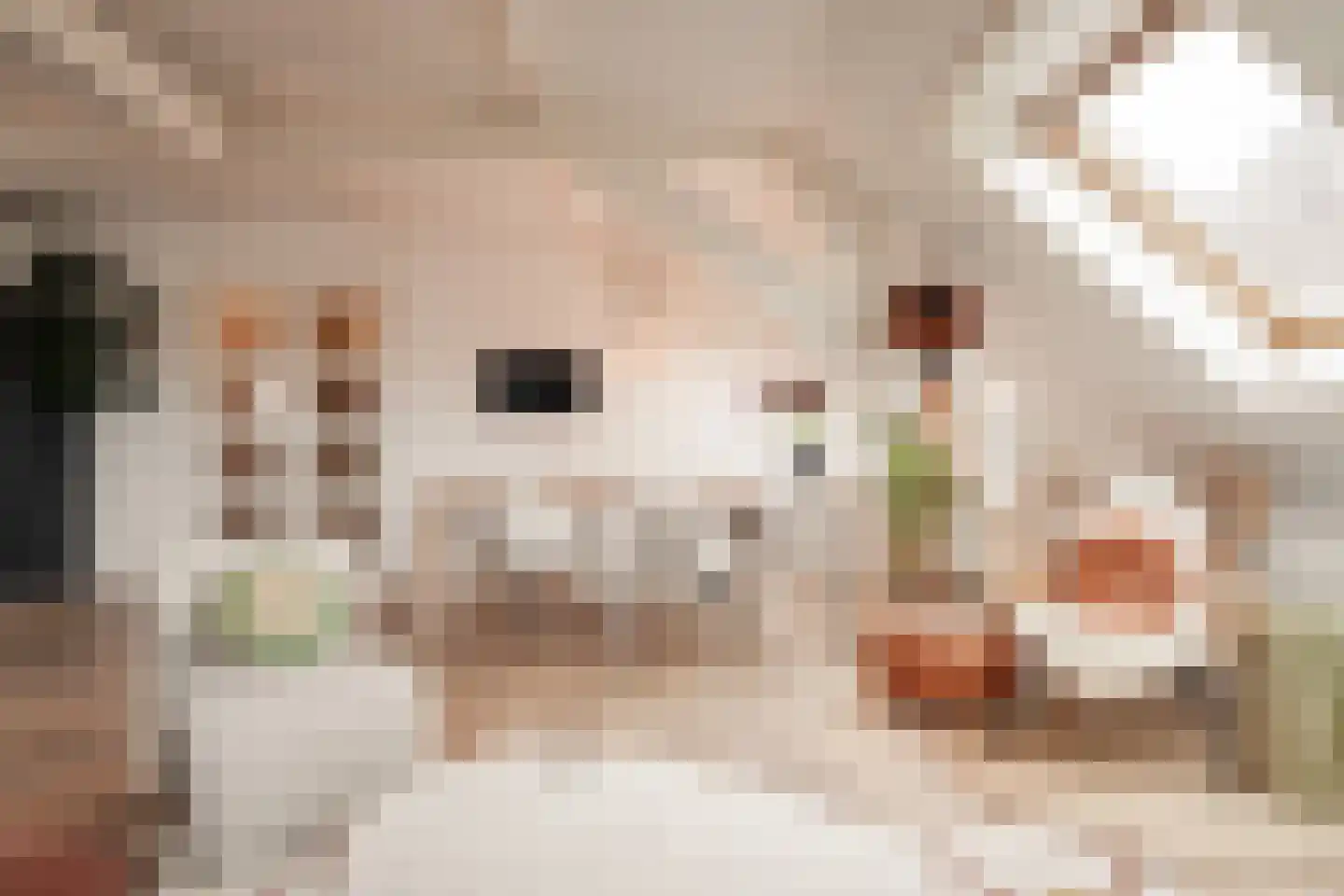 Brugsteeg 17 Utrecht thumbnail 11