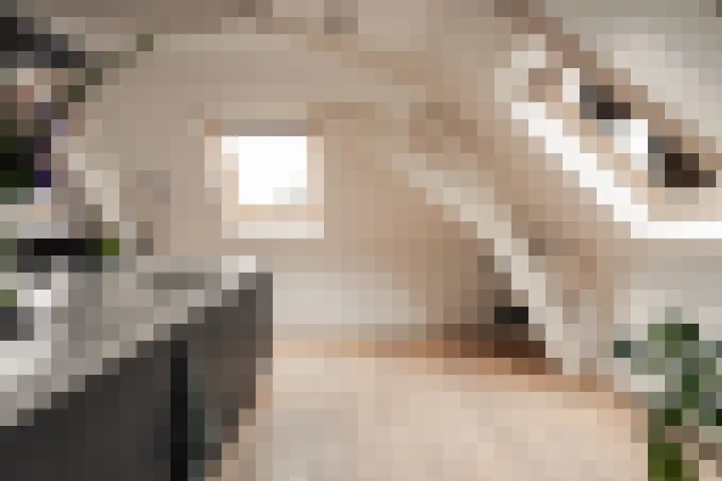 Brugsteeg 17 Utrecht thumbnail 19