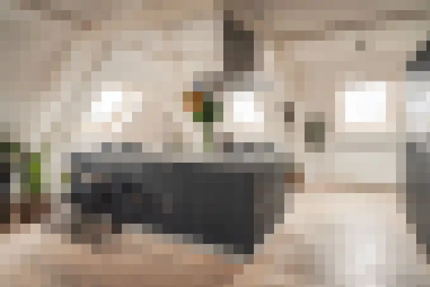 Brugsteeg 17 Utrecht thumbnail 21