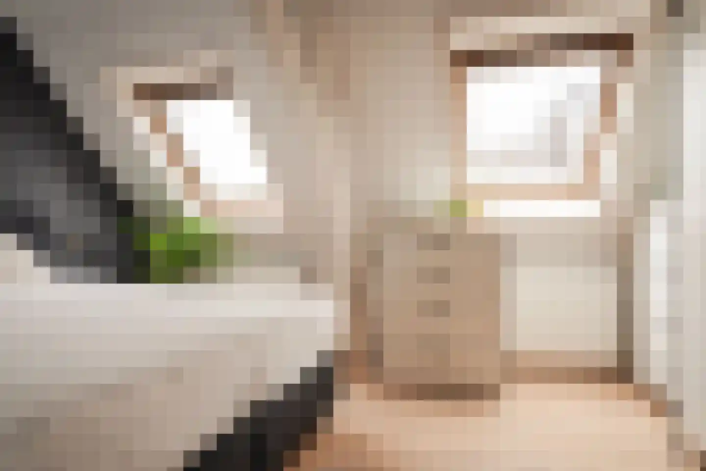 Brugsteeg 17 Utrecht thumbnail 25