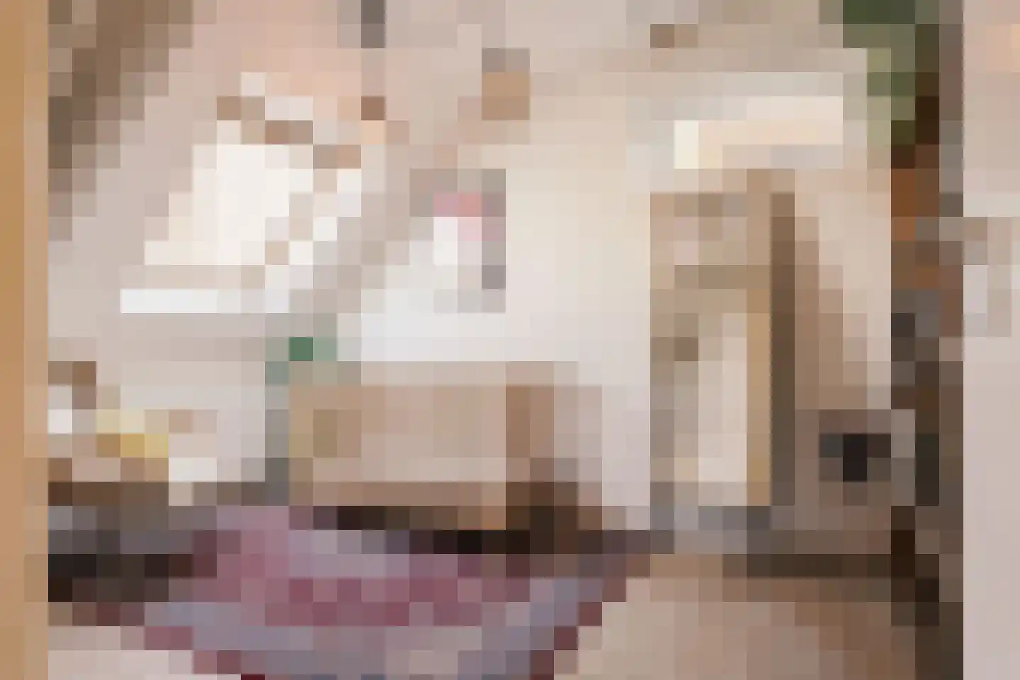 Brugsteeg 17 Utrecht thumbnail 30