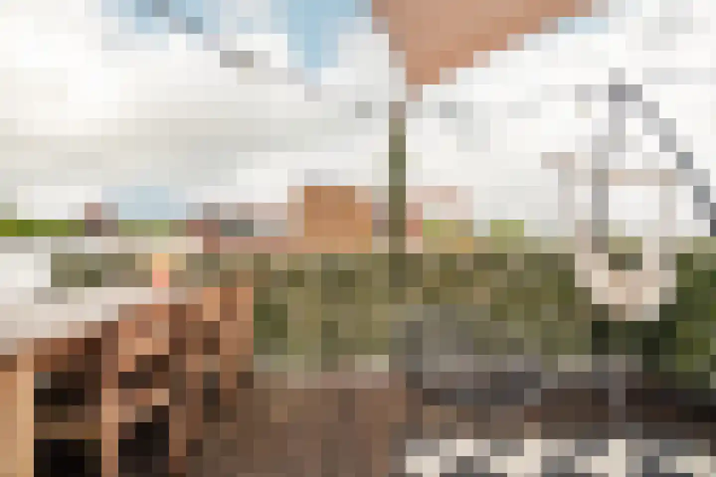 Brugsteeg 17 Utrecht thumbnail 32