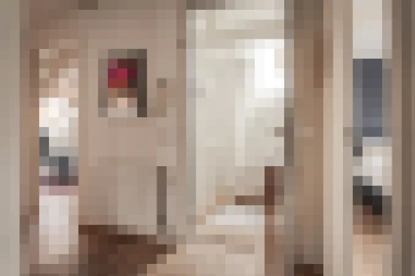 Brugsteeg 17 Utrecht thumbnail 5