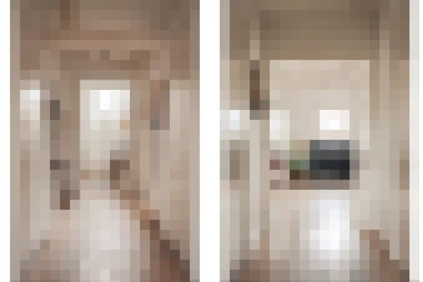 Brugsteeg 17 Utrecht thumbnail 6