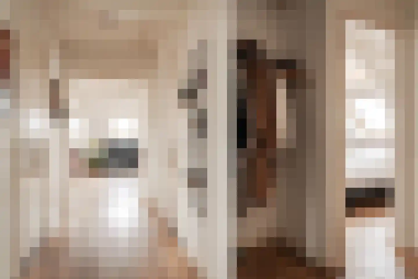 Brugsteeg 17 Utrecht thumbnail 7