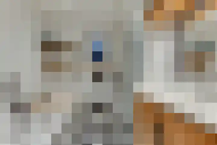 Brugstraat 1 Obdam thumbnail 16