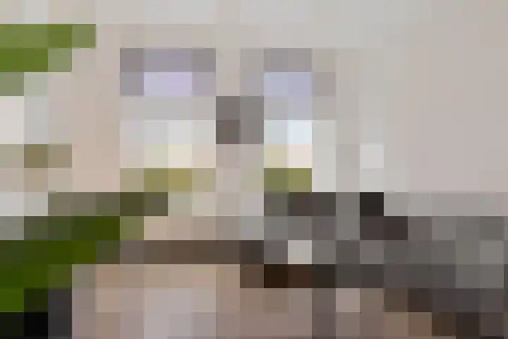 Brugstraat 10 Joure thumbnail 13