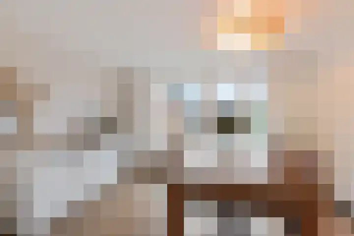Brugstraat 10 Joure thumbnail 17