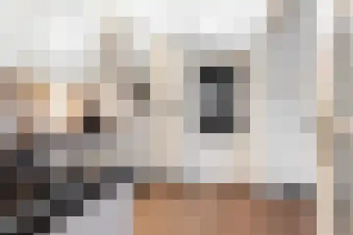 Brugstraat 10 Joure thumbnail 20