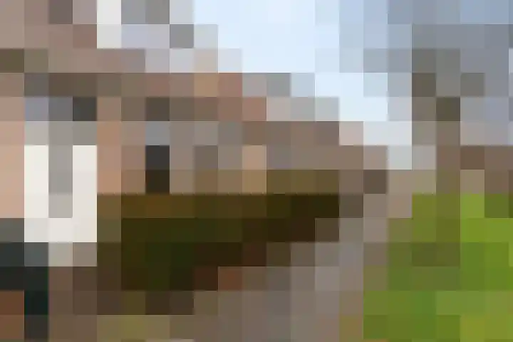 Brugstraat 10 Joure thumbnail 47