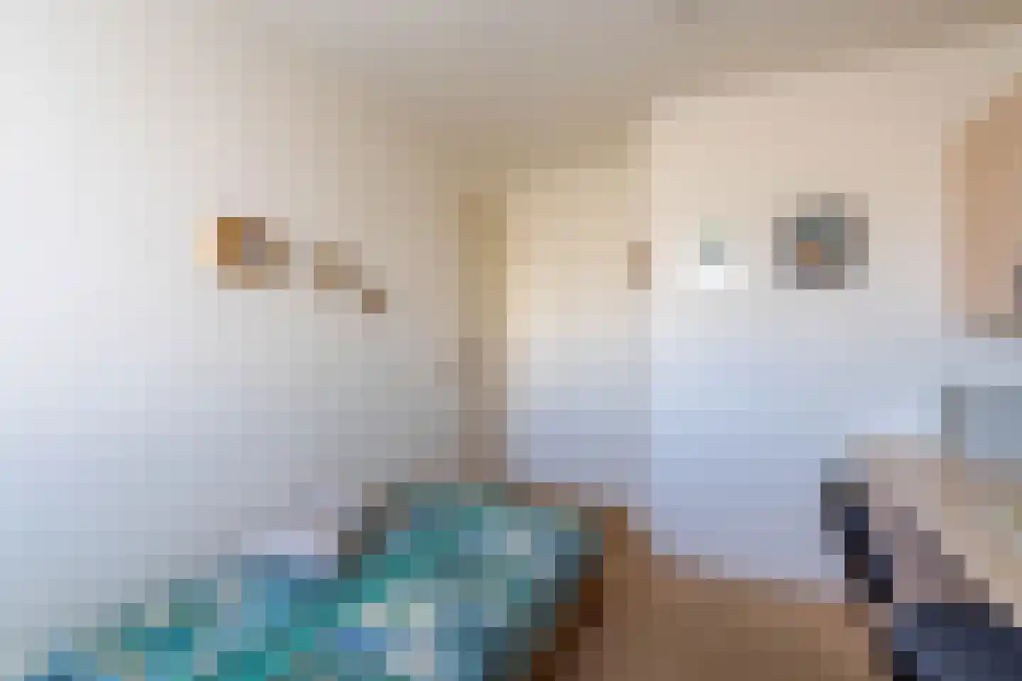 Brugstraat 10 Wanssum thumbnail 33