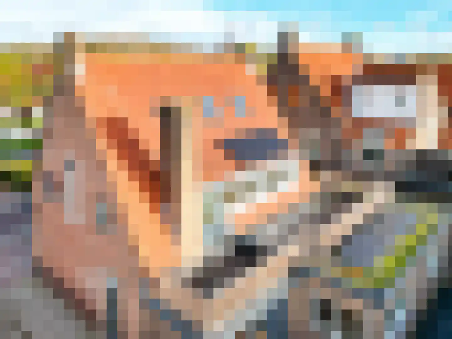 Brugstraat 11 a Middenmeer thumbnail 42