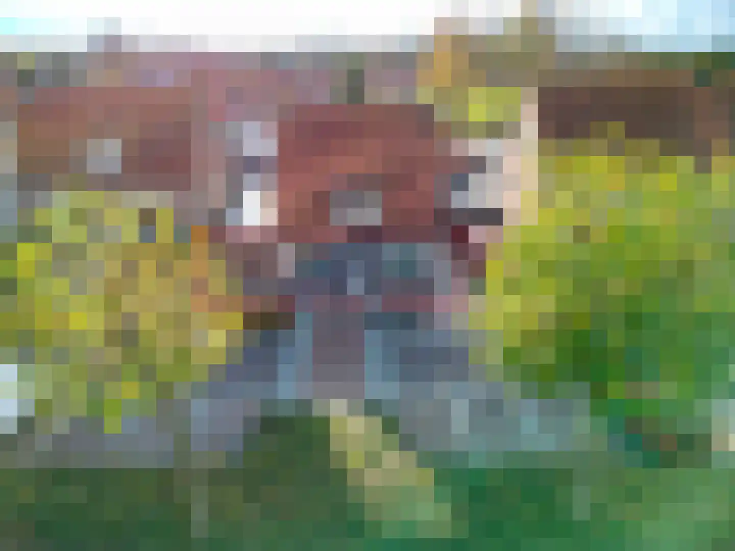 Brugstraat 11 Middenmeer thumbnail 13