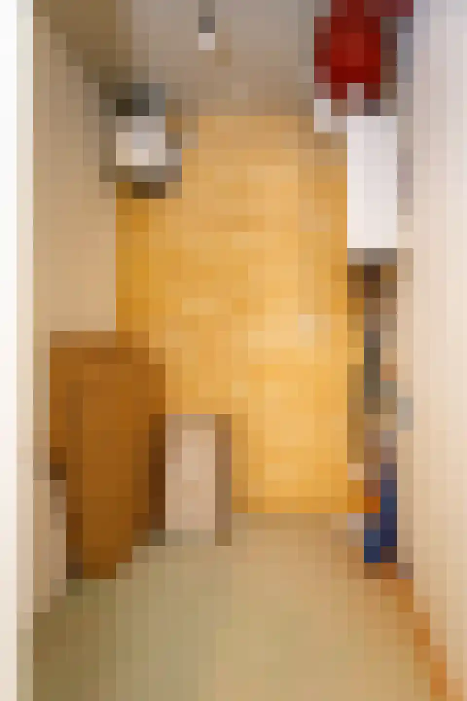 Brugstraat 11 Middenmeer thumbnail 54