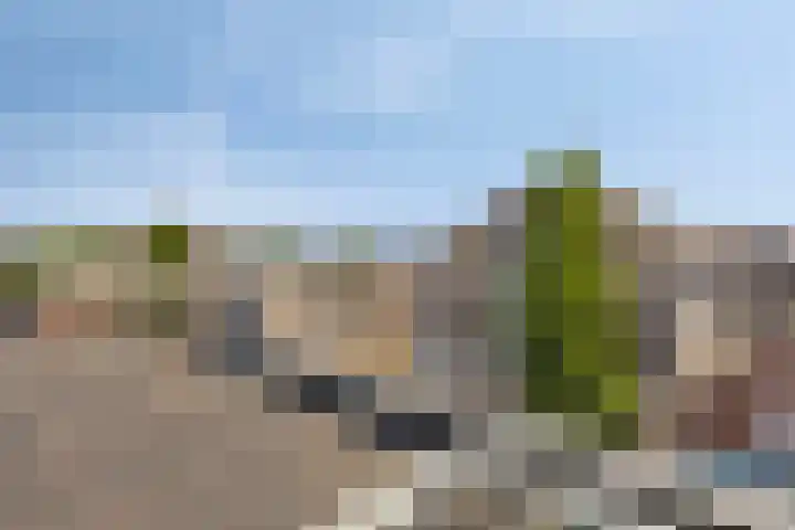 Brugstraat 12 e Bodegraven thumbnail 11