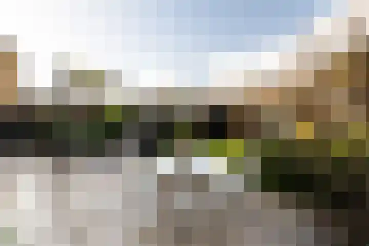 Brugstraat 12 Limmen thumbnail 55
