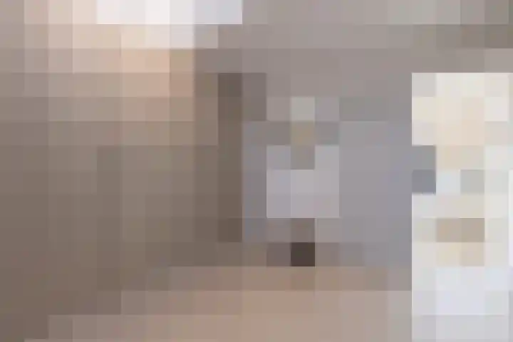 Brugstraat 12 Limmen thumbnail 7
