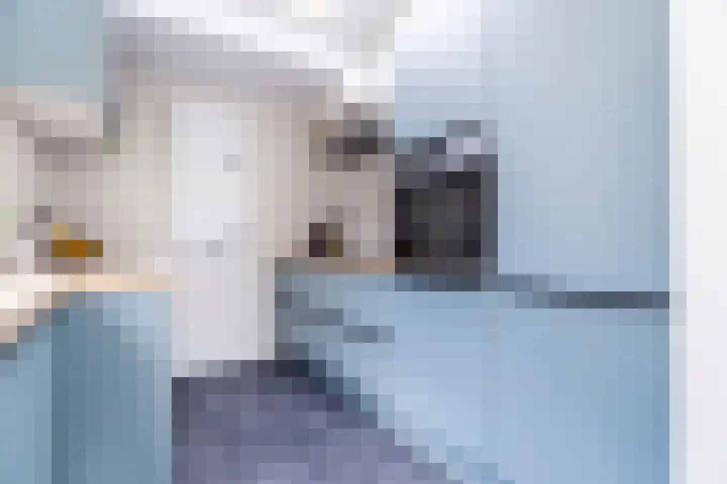 Brugstraat 12 Schipluiden thumbnail 14