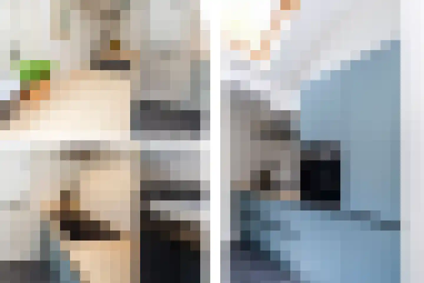 Brugstraat 12 Schipluiden thumbnail 15